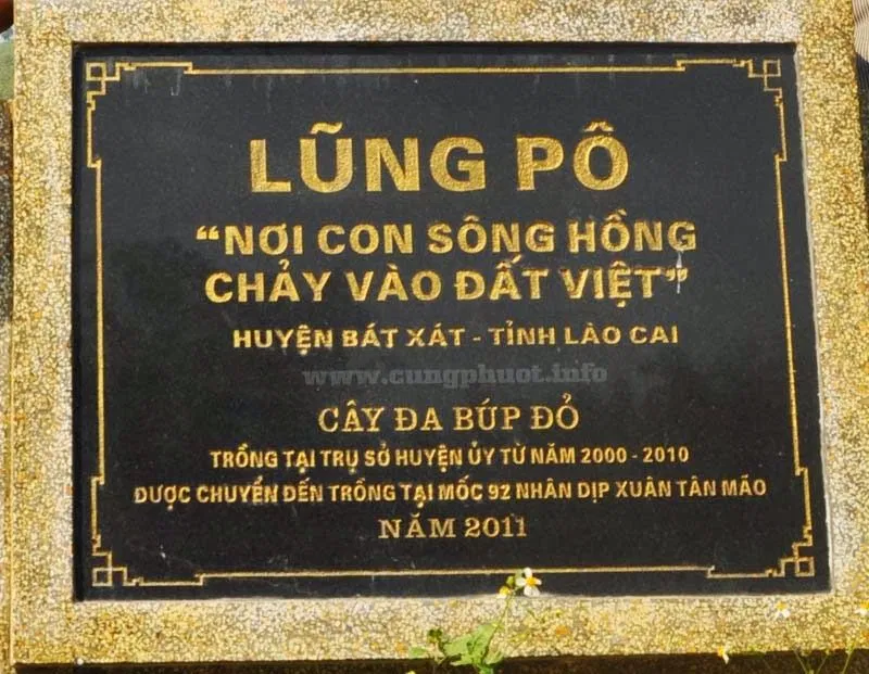 Sapa
