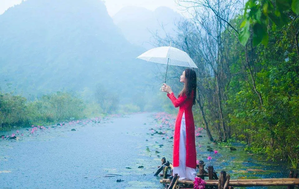 Mưa thu