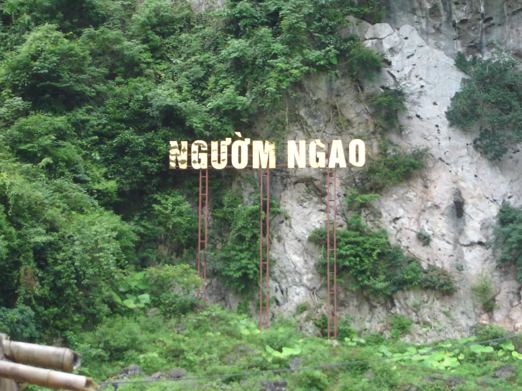 Ngườm Ngao