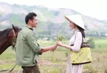 sứ mệnh trái tim (ảnh:internet)