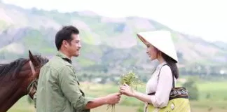sứ mệnh trái tim (ảnh:internet)