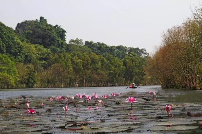 Suối Yến