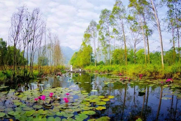 Suối Yến