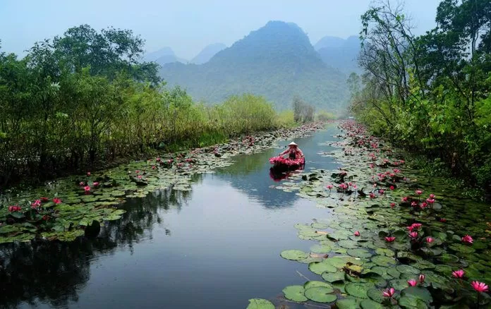 Suối Yến