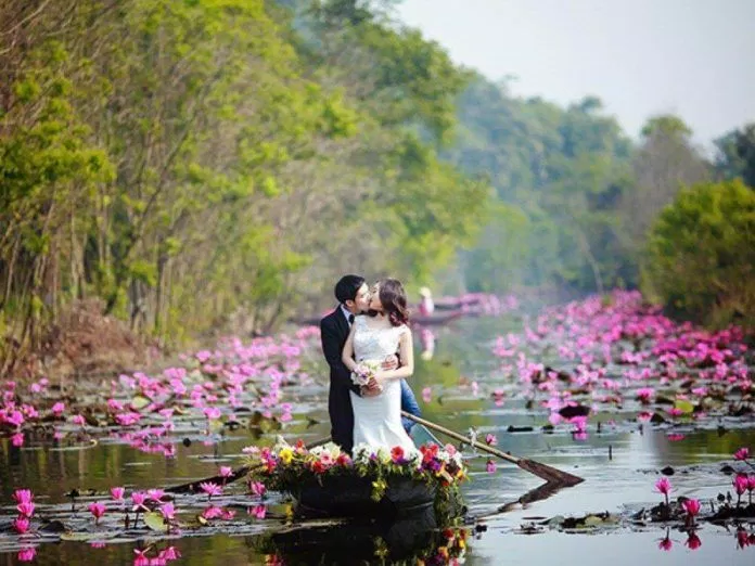 Suối Yến