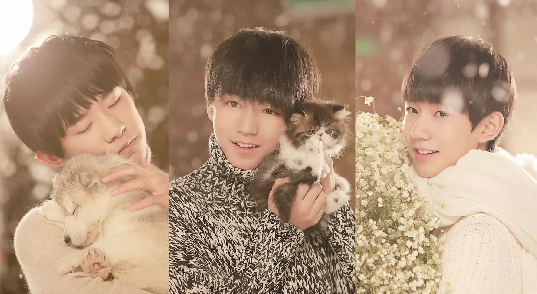 TFBOYS sở hữu lượng fan hùng hậu (Ảnh: internet)