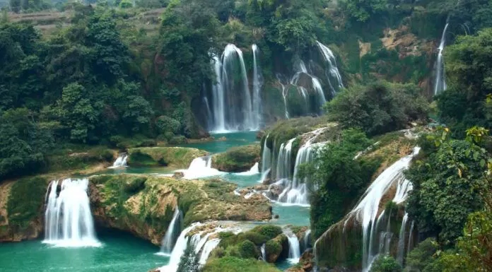 3 địa điểm nên đặt chân đến khi du lịch Bảo Lộc
