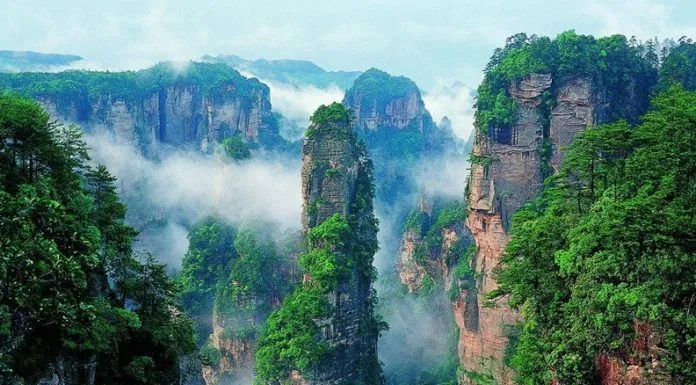 trương gia giới