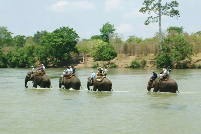 Cưỡi voi qua sông