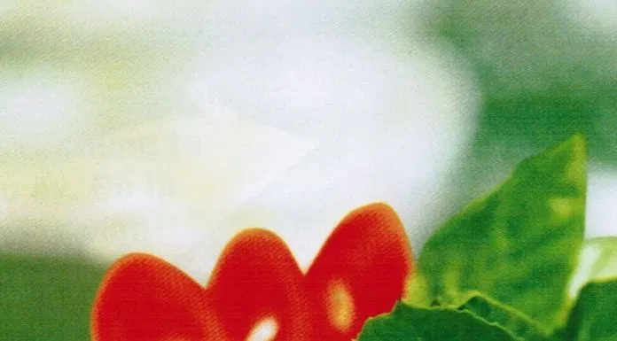 Canh chua ếch
