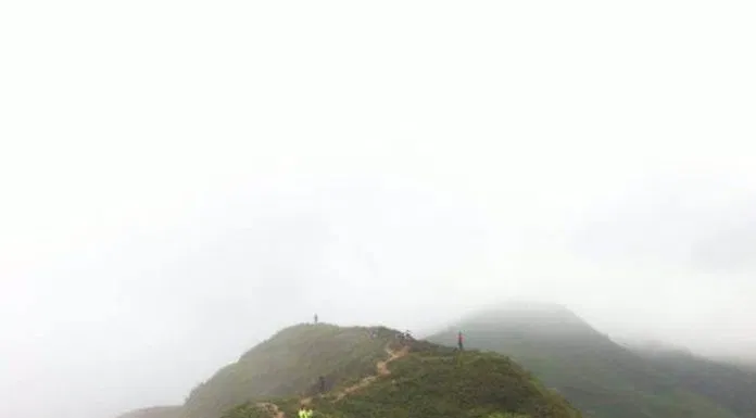 Bạn trẻ