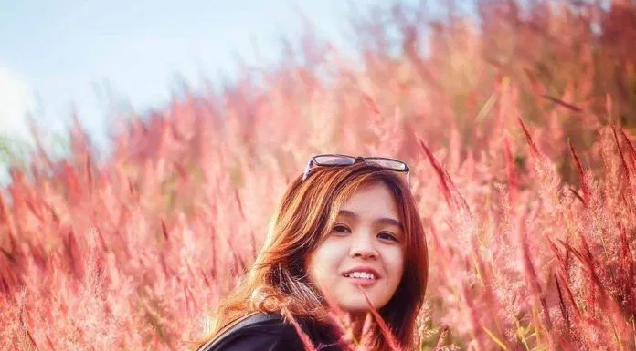 Chụp ảnh