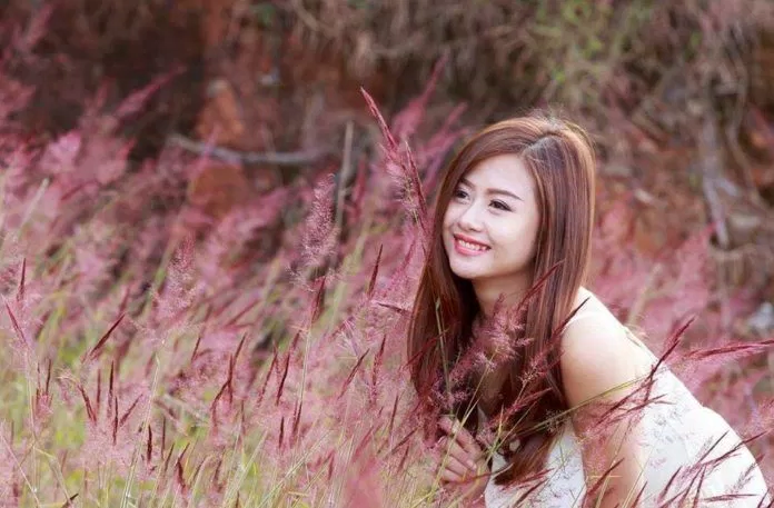 Cỏ hồng