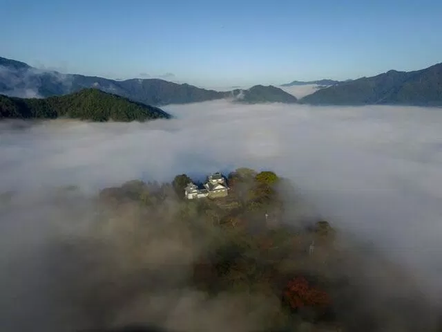 Lâu đài
