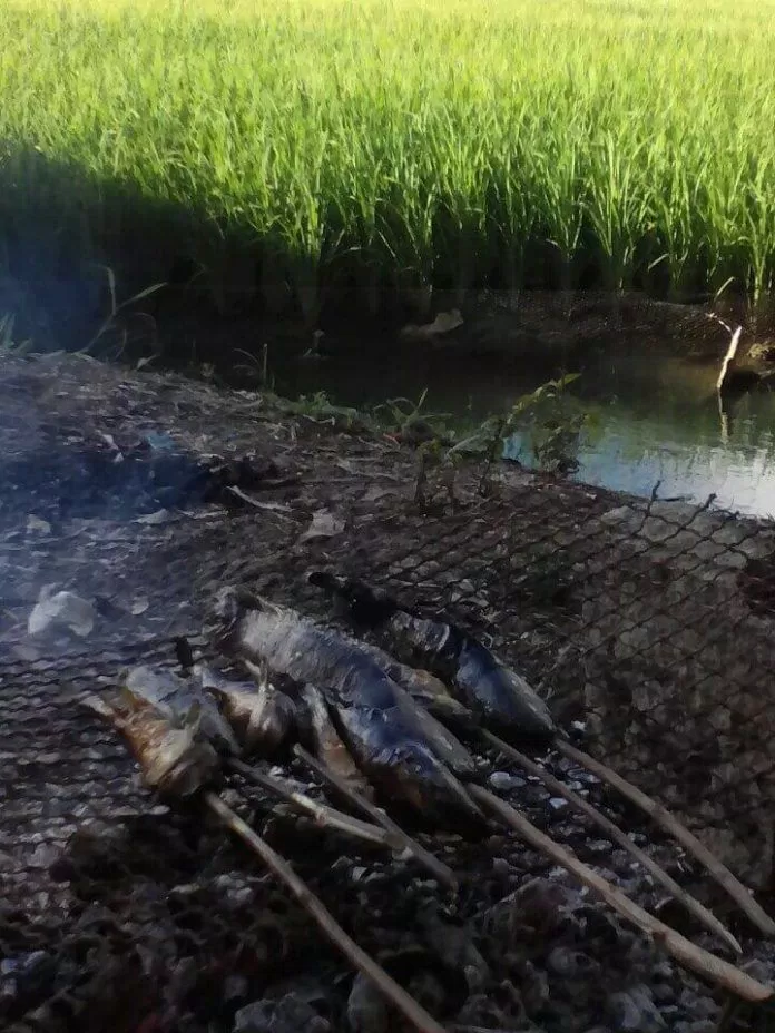 Miền Tây