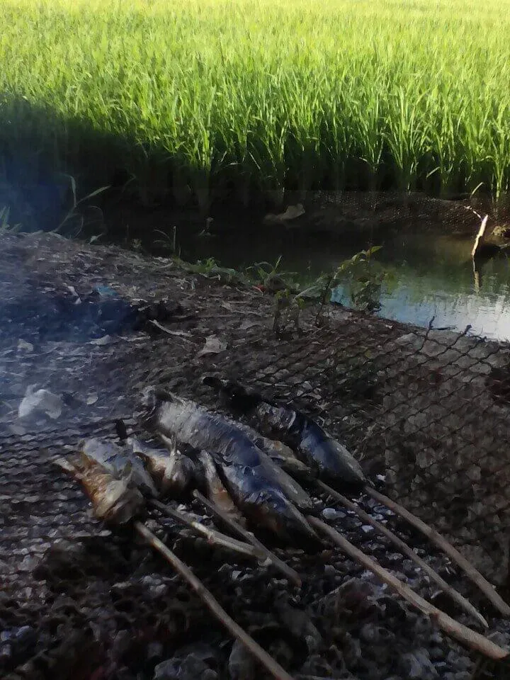 Miền Tây