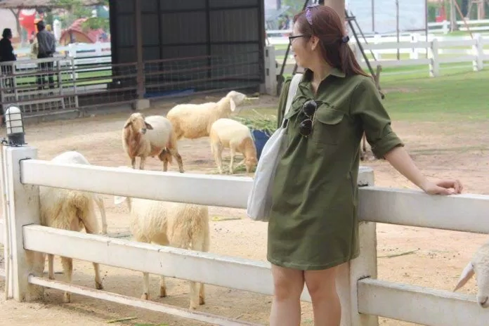 Cừu