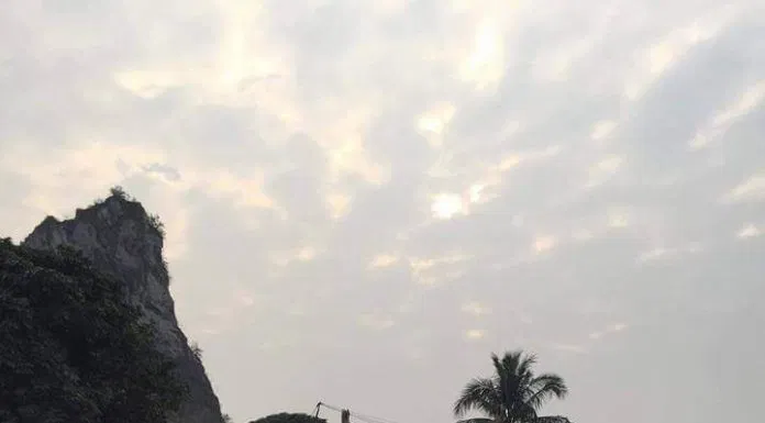 Tuyệt tình cốc