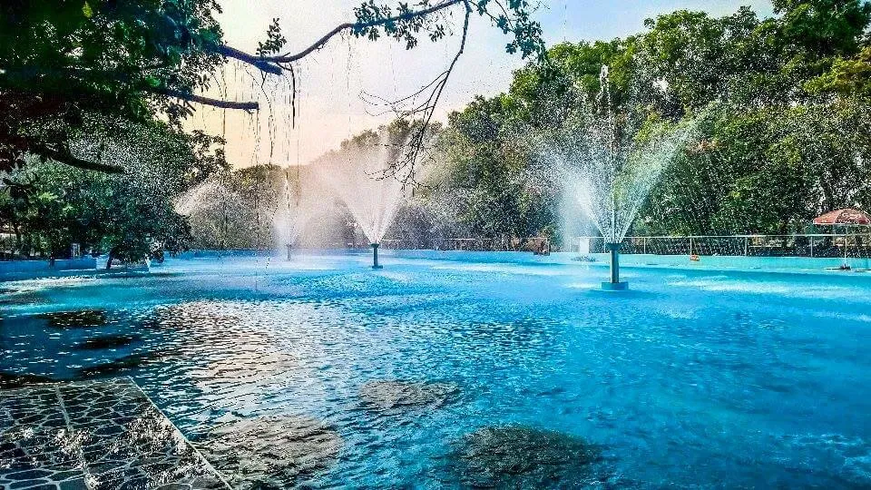Hồ bơi
