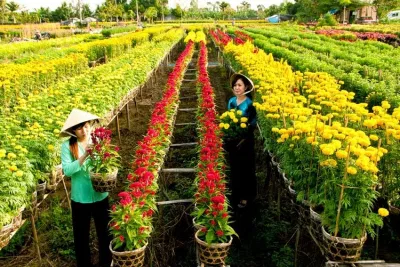 Làng hoa Sa Đéc