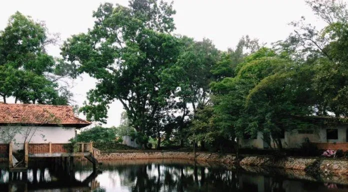 Miền Tây