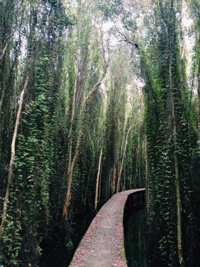 Miền Tây