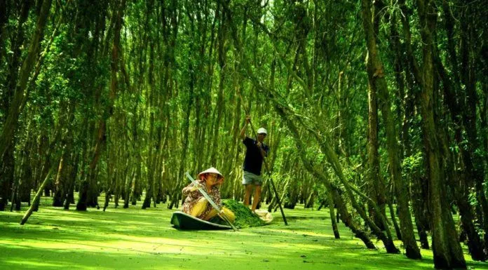 Miền Tây