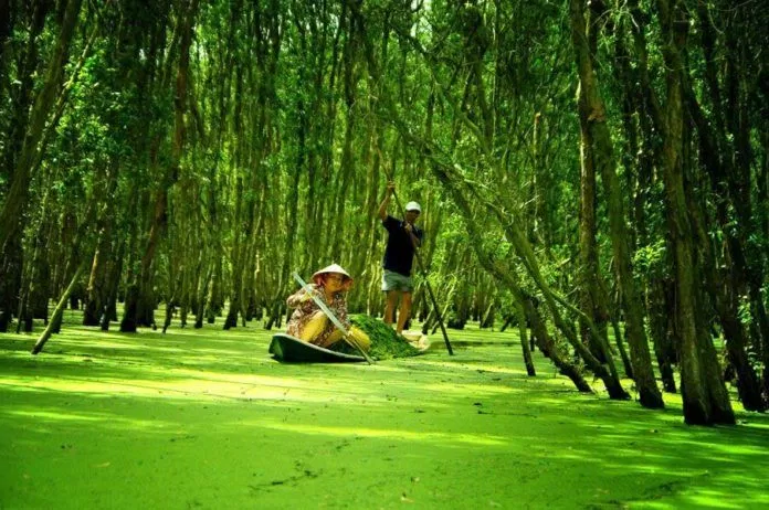Miền Tây