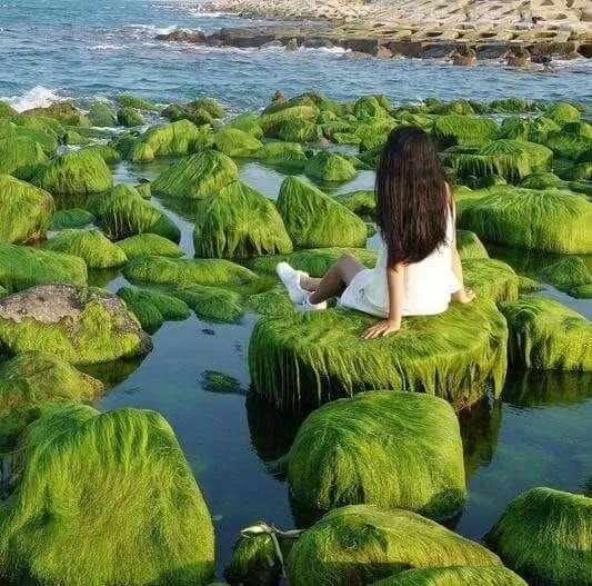 Bãi đá xóm Rớ