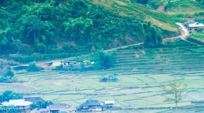 Bản