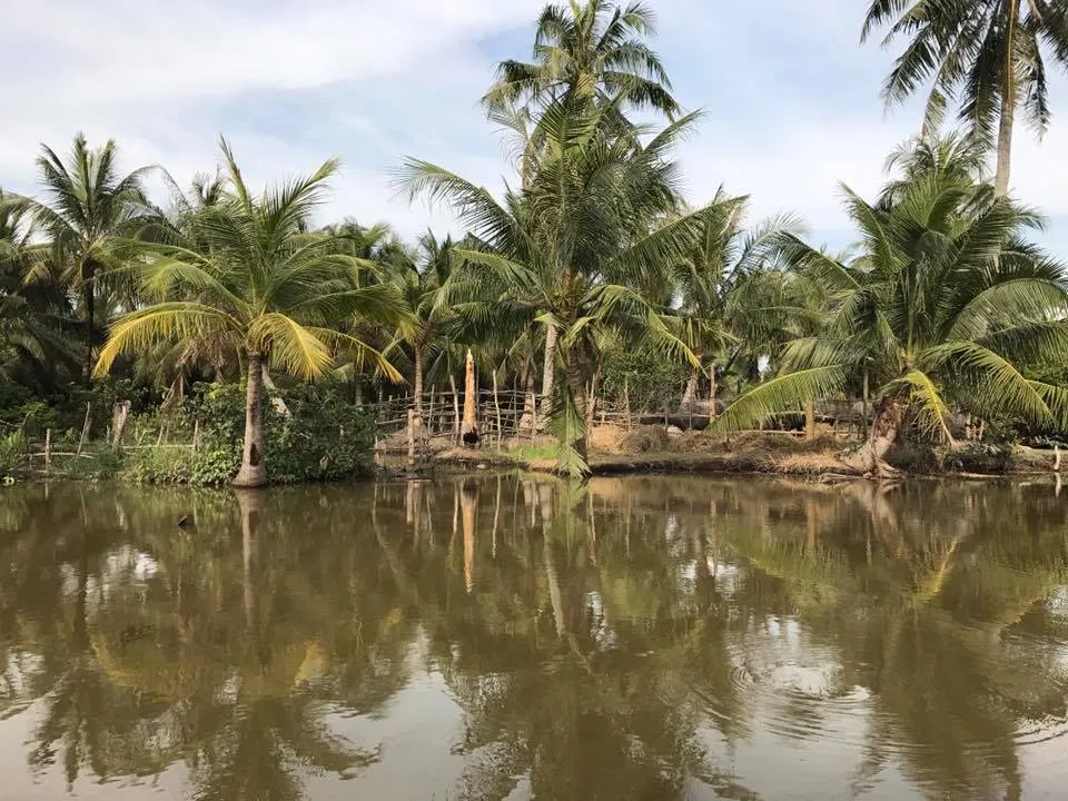 Tre Việt