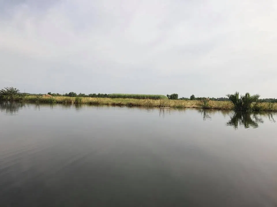 Tre Việt