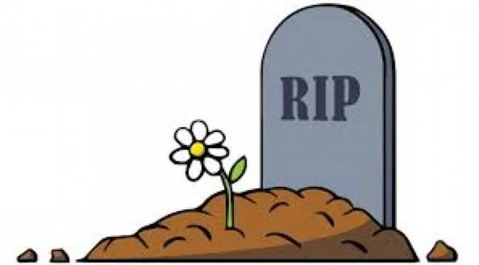 Rip