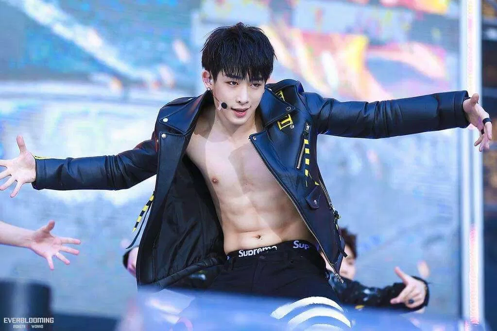 Wonho (ảnh: Internet)