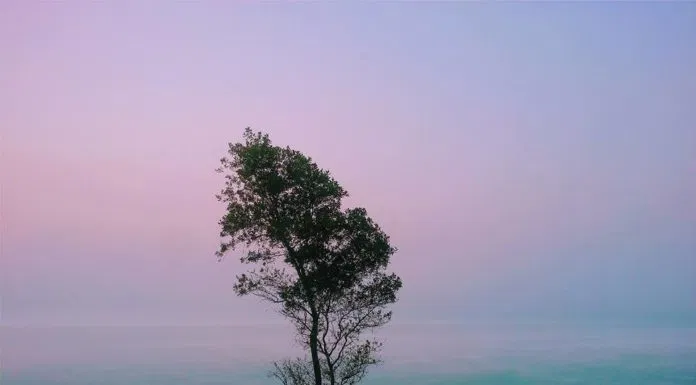 Núi Bà Đen