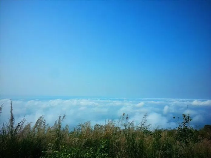 Núi Bà Đen