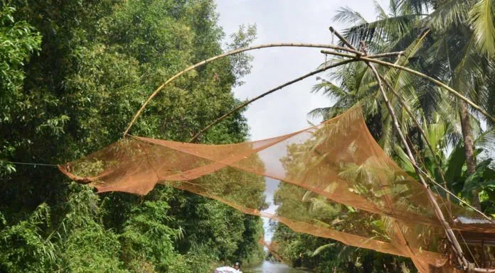 Đường đi vào rừng tràm bằng ghe
