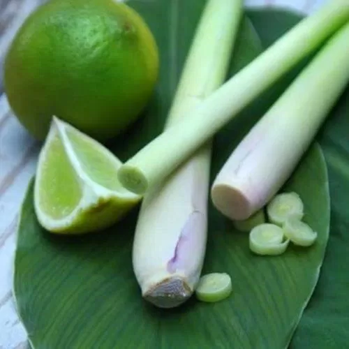 trị mụn bằng xông hơi