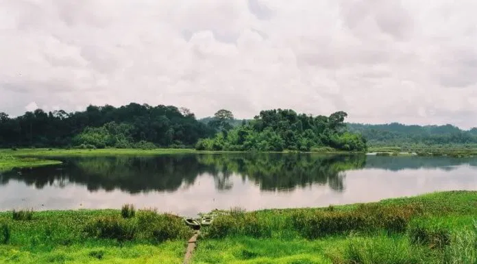 Rừng Nam Cát Tiên