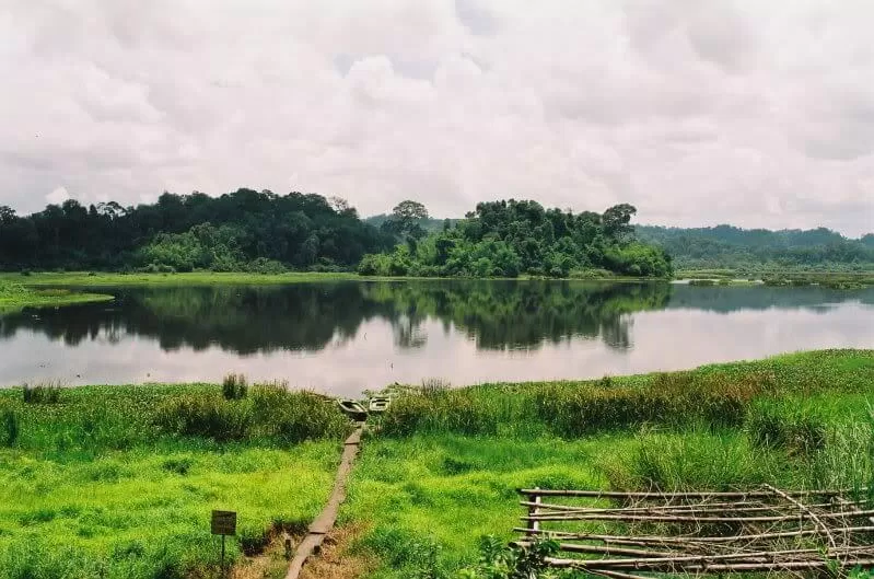 Rừng Nam Cát Tiên