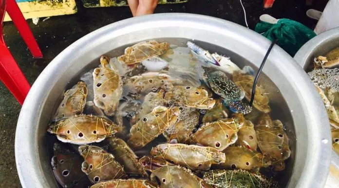 Vũng Tàu