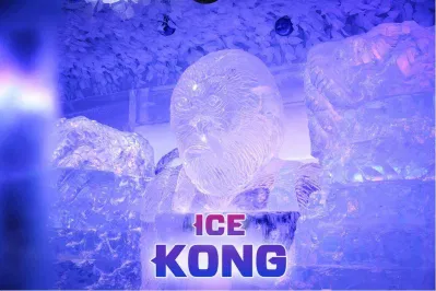 mô hình băng