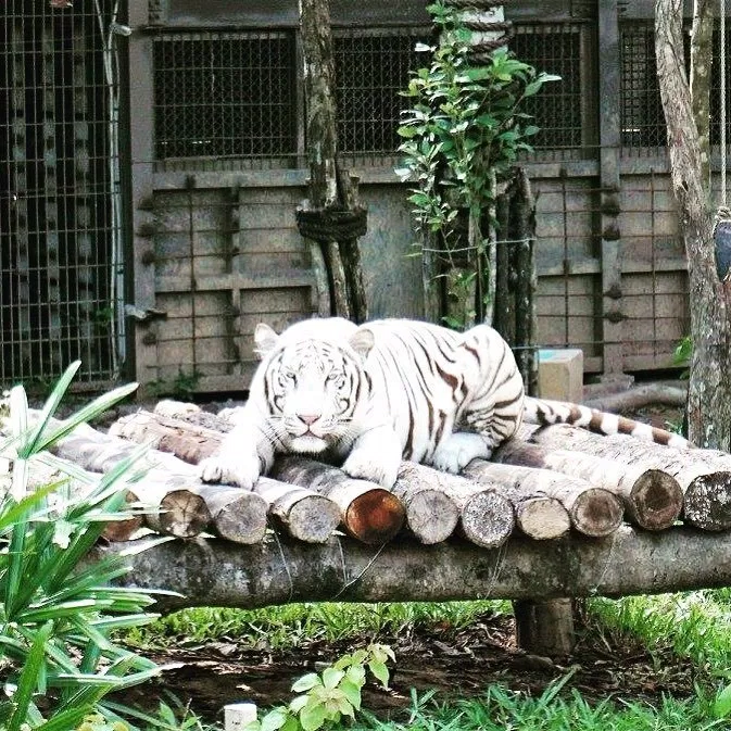 Du lịch Phú Quốc