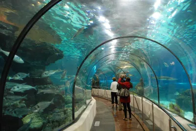 Đi giữa đại dương trong Times City