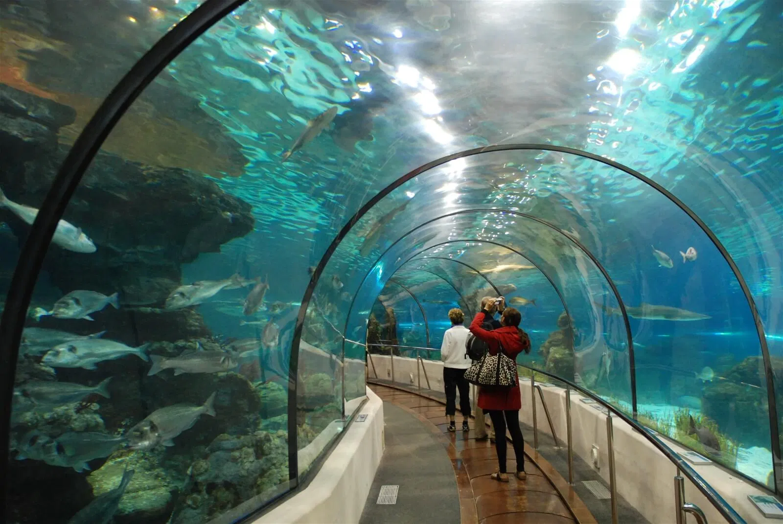 Đi giữa đại dương trong Times City 
