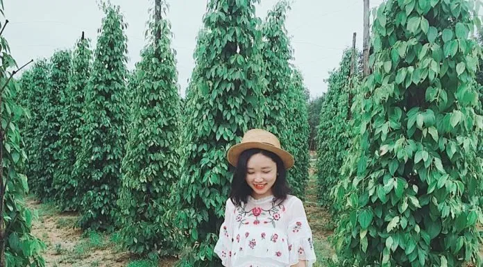 Du lịch Phú Quốc