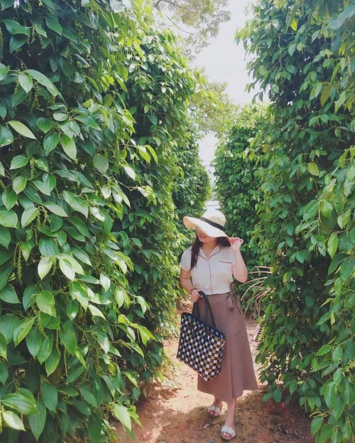 Du lịch Phú Quốc