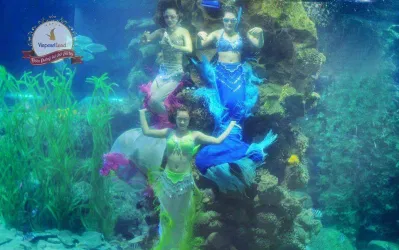 Vinpearl Land Nha Trang