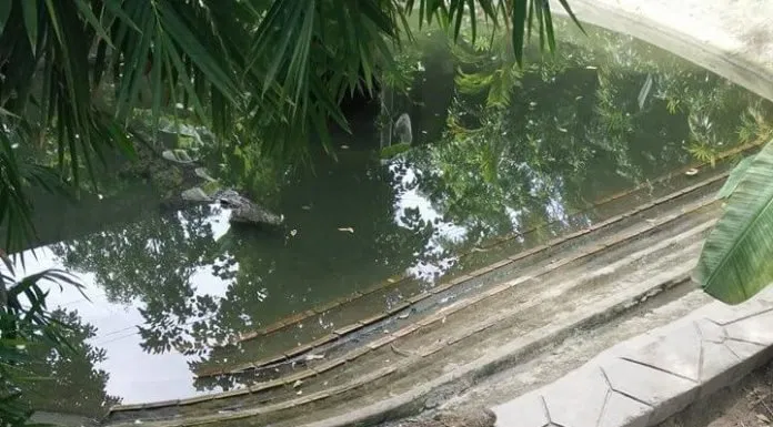 Thảo Cầm Viên