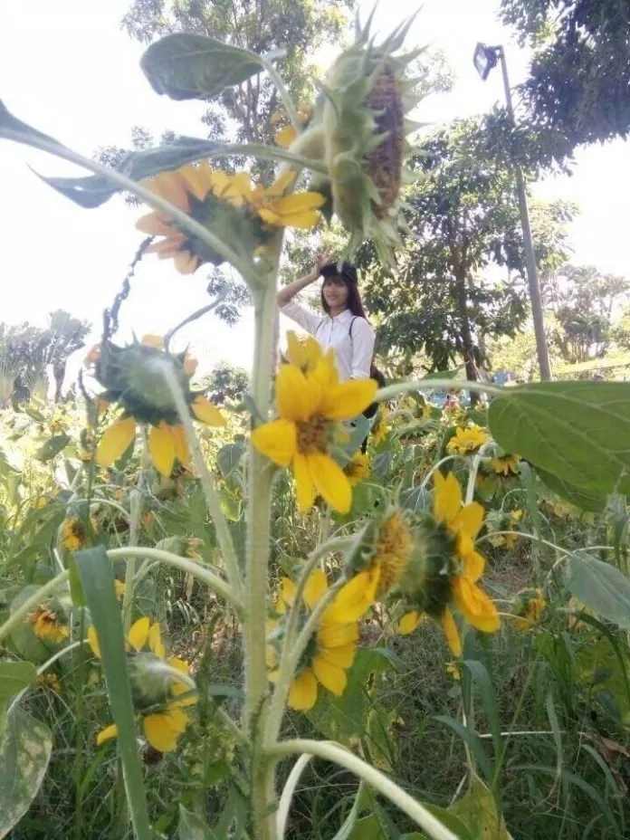 Khu du lịch Bửu Long